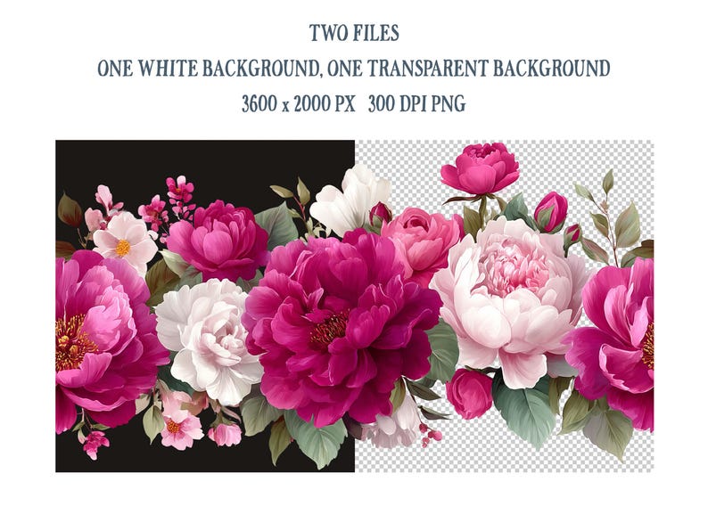 May include: A digital floral illustration showcasing pink and white peonies and foliage. The image is split, with one half on a black background and the other on a transparent background. The text at the top indicates the image is 3600 x 2000 pixels.