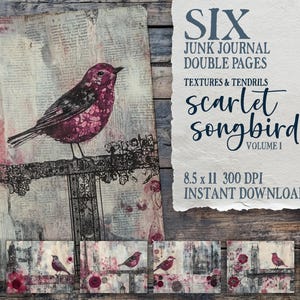 Scarlet Songbird Vol 1, pagine di diario spazzatura di uccelli rossi nella città, collage di uccelli floreali vintage, download digitale, carte per scrapbooking
