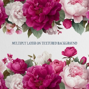 May include: A floral design featuring vibrant pink and white peonies with green leaves. The image includes the text "MULTIPLY LAYER ON TEXTURED BACKGROUND" in a dark blue font, creating a decorative border.