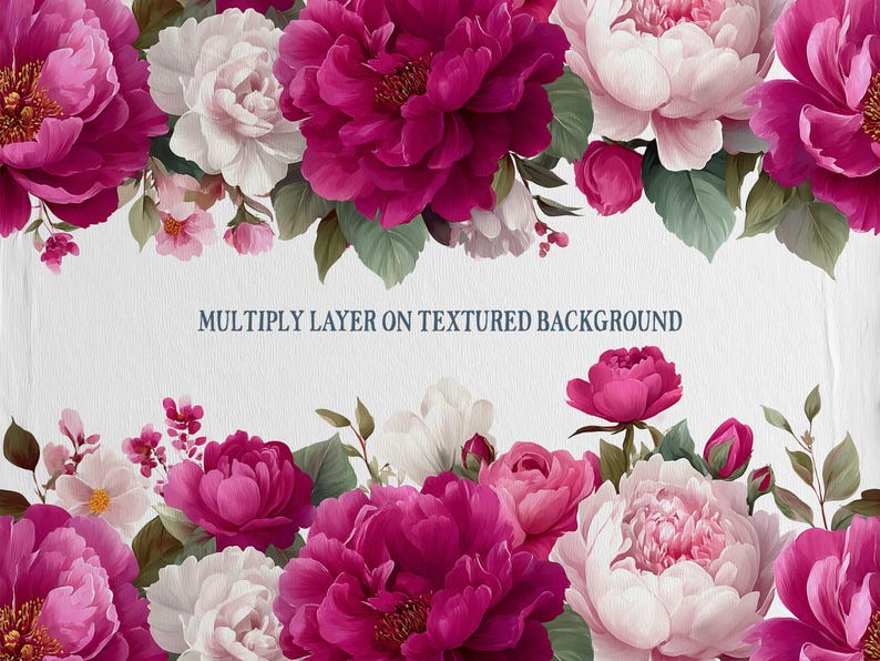 May include: A floral design featuring vibrant pink and white peonies with green leaves. The image includes the text "MULTIPLY LAYER ON TEXTURED BACKGROUND" in a dark blue font, creating a decorative border.