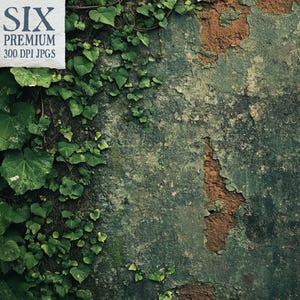Verdant Decay Vol 2, concrete texture clipart, ivy grunge paper, urban decay background, cement and vine printable, industrial decay collage