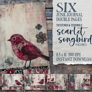 Scarlet Songbird Vol 2, pagine di diario spazzatura di uccelli rossi nella città, collage di uccelli floreali vintage, download digitale, carte per scrapbooking