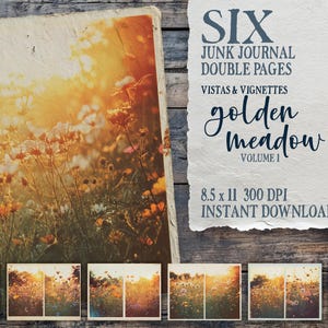 Golden Meadow Vol 1, wildflower meadow junk journal, floral grunge papers, cottagecore flowers, meadow ephemera, spring printable, botanical