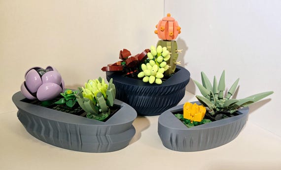 chameleon zz plants Chameleon ZZ Plant: Zamioculcas - 6