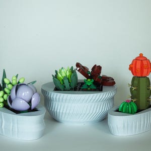 modern plant pot Funky Plant Pot, Mid Century Modern Pots with Drainage and Saucer, Cache Planter  Pot "FLOW"  Rosebud HomeGoods