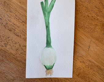 Acquerello di cipolla verde