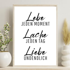Viva, ame, ria - letras para pôster, tela, cartão etc. máx. DIN A3 / 30 x 40 cm | Decoração | dizendo | preto e branco
