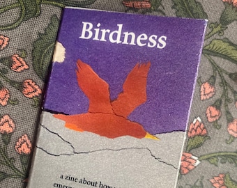 zine: Birdness