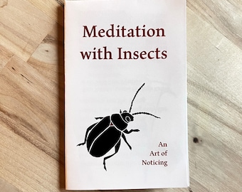 zine: Meditation with Insects