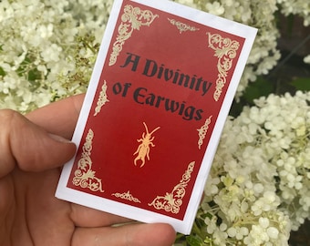 zine: A Divinity Of Earwigs