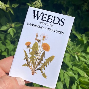 zines: Weeds and other Imaginary Creatures