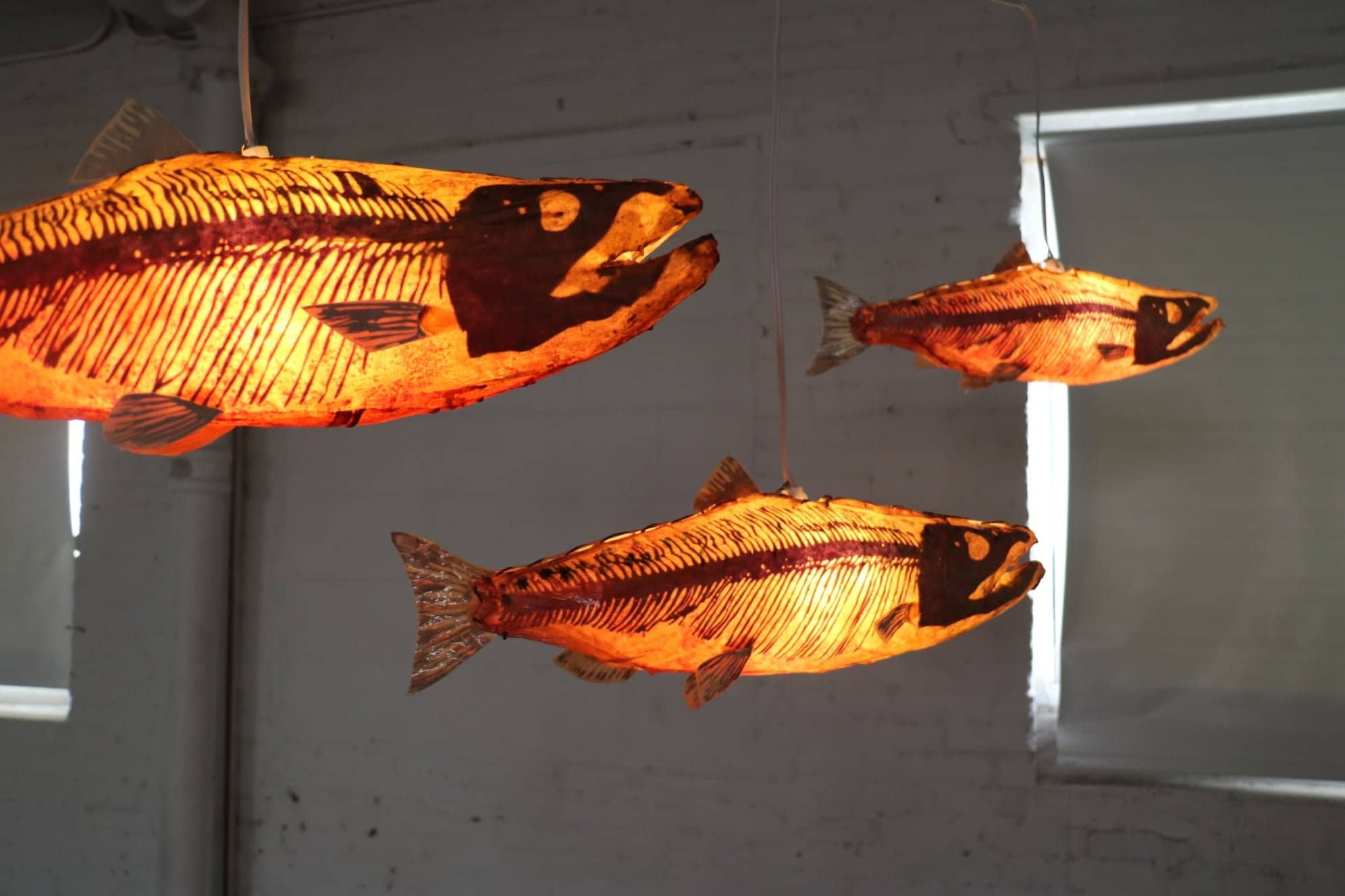 Salmon lamp deals