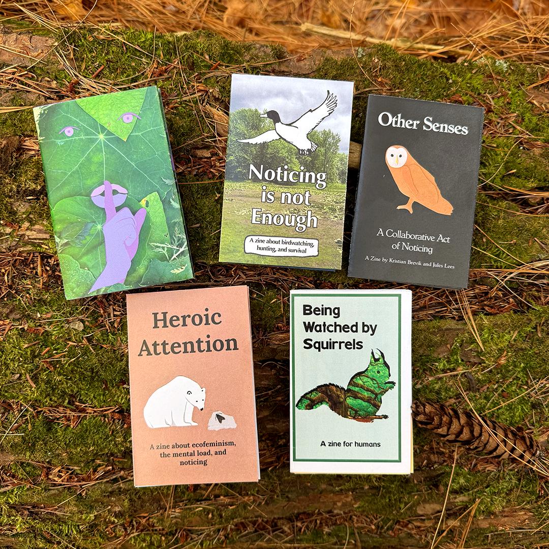Zine Pack: Arts of Noticing (20% Bundle Discount)