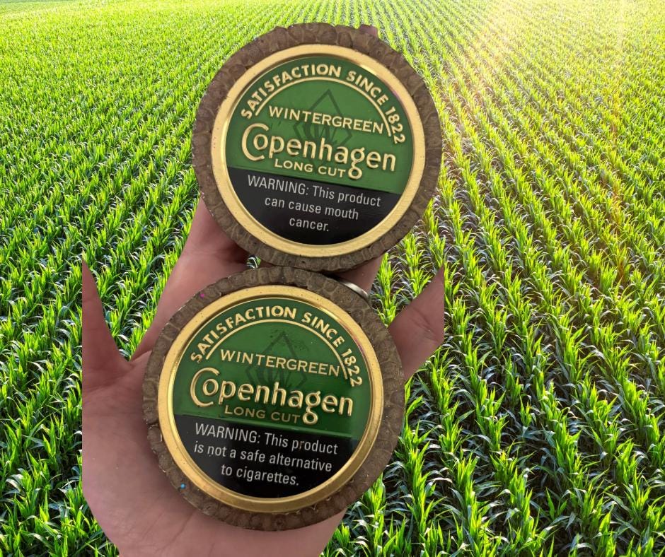 Copenhagen Tin Freshie