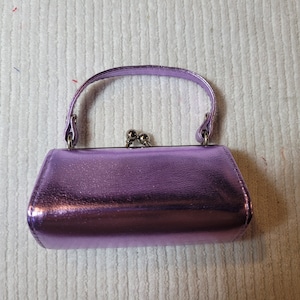 Metallic Purse