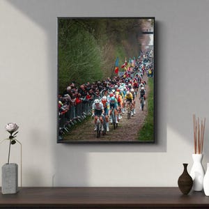 Op de afbeelding: Een groep wielrenners racet door een bosrijk gebied. De wielrenners dragen felgekleurde truien en helmen. De weg is omzoomd door toeschouwers.