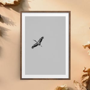 Schwarzweißer Vogel im Flug Fotografie | Digitaler Download Kunst