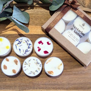 Verschiedene botanische duftende Soja-Teelichter: Sampler-Duft | Ästhetische Blumenkerzen | 6er, 12, 24, 48 oder 60er Packungen