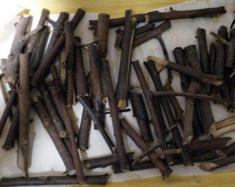 Eritrea | Äthiopische Gesho Enchet 1 KG