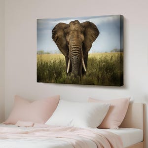 Elephant Decorative Canvas Painting, Housewarming Gifts, Animal Modern Wall Art, Animal Canvas Wall Decor, Animal Canvas Wall Art