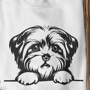 Havanezer #1 gluren poten, hondenras, stamboom hoektand, rasechte K-9, hond herdershond, Havanezer svg, Havanezer pup svg, schattige Havanezer svg