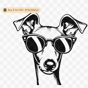 Whippet Dog Svg #2, Whippet Svg, Greyhound Dog Svg, Whippet mamma, Divertente Whippet Svg, Divertente Greyhound Svg, Whippet con occhiali da sole Svg