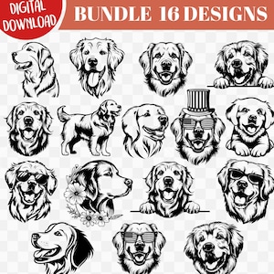 Golden Retriever SVG, paquete de svg de Golden Retriever, clipart de Golden Retriever que mira fijamente, clipart de Goldie, divertido, Golden Retriever del 4 de julio
