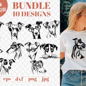 Pacchetto Svg cane Whippet, Pacchetto Svg levriero, Whippet Svg, Svg cane levriero, SVG gara di cani, Svg levriero che sbircia, Clipart levriero, dogmom
