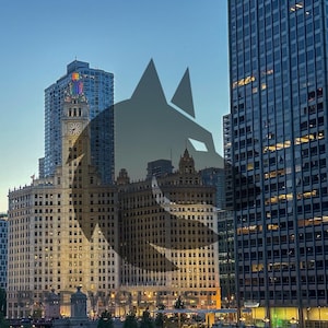 Könnte beinhalten: Eine Silhouette eines Wolfes vor einer Skyline mit hohen Gebäuden, darunter ein Uhrturm. Die Gebäude sind in der Abenddämmerung beleuchtet und der Himmel ist zartblau.