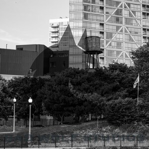 May include: A black and white photo of a city street with a tall building in the background. The building has a water tower on top. There are trees and bushes in the foreground.