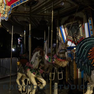 Wunderliche Nachtfahrt: Boston Common Carousel