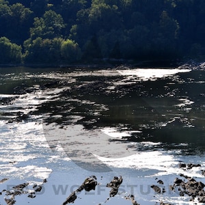 Shimmering Waters on Peters Mountain