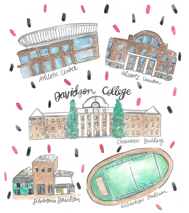 What is davidson college known for picture