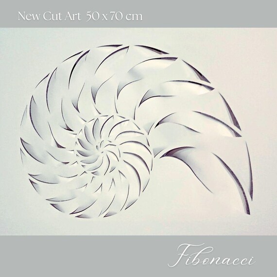 Fibonacci In Shells