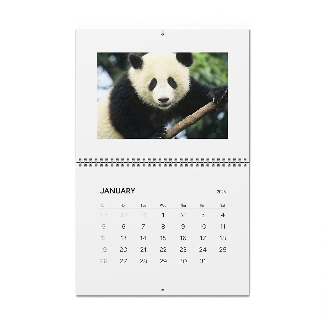 Adorable Panda Wall Calendar 2025 Stay Organized in Style - Etsy
