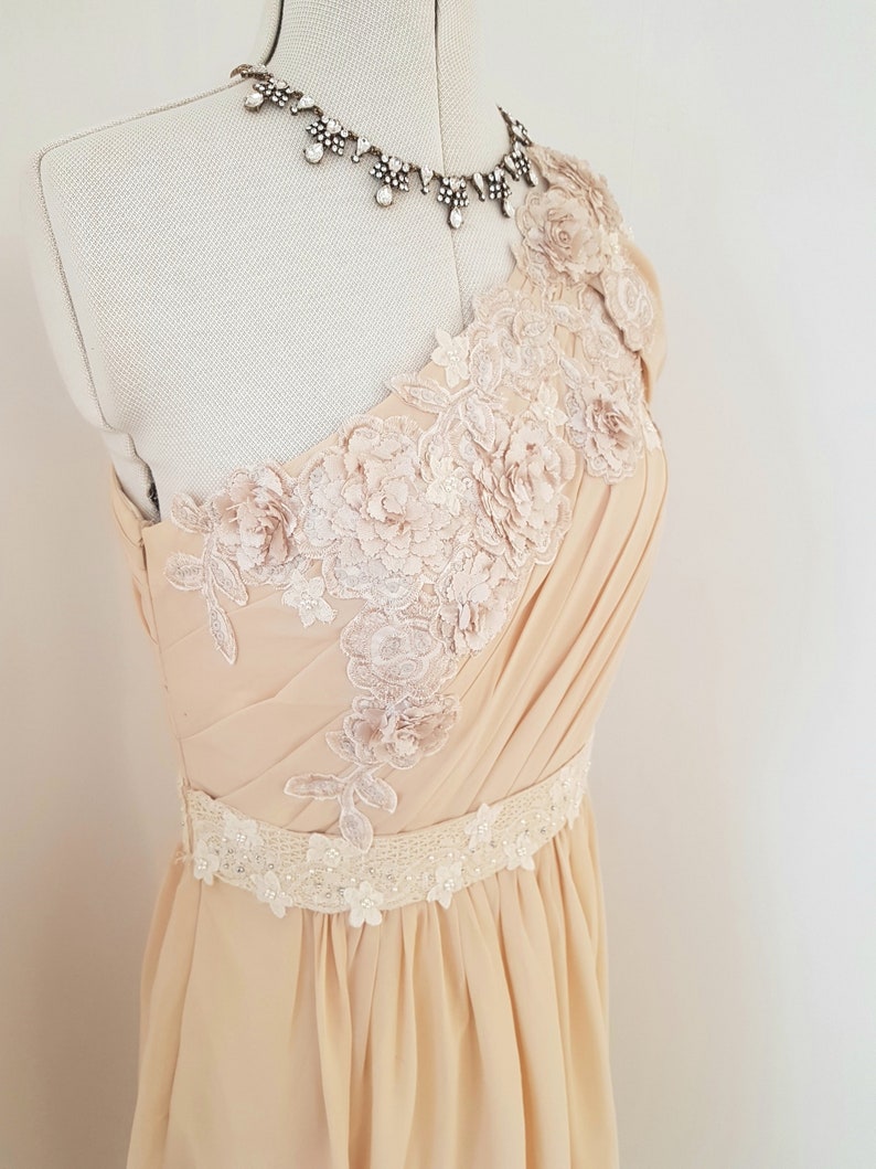 May include: A one-shoulder, blush-coloured chiffon dress with delicate floral lace detailing and a beaded belt.