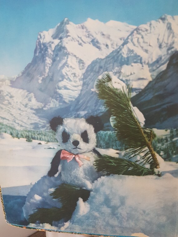 Import Mountain Nerdy Panda