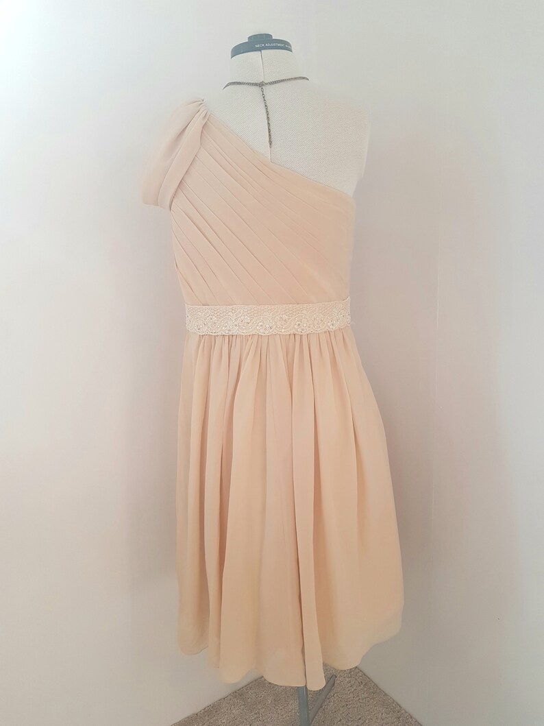 May include: A one-shoulder, light beige chiffon dress with a lace waistband. The dress has a flowing skirt and a fitted bodice.