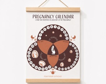 Pregnancy Countdown Calendar | Week by Week Tracker, Due Date, Birth Plan