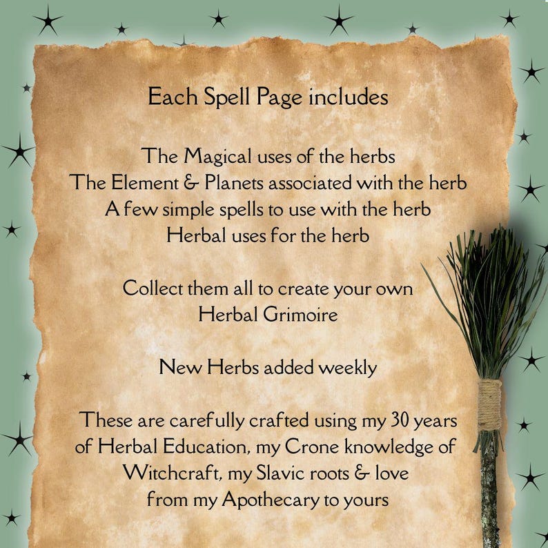 Slavic Roots Herb of the Day Spell Page Lavender - Etsy