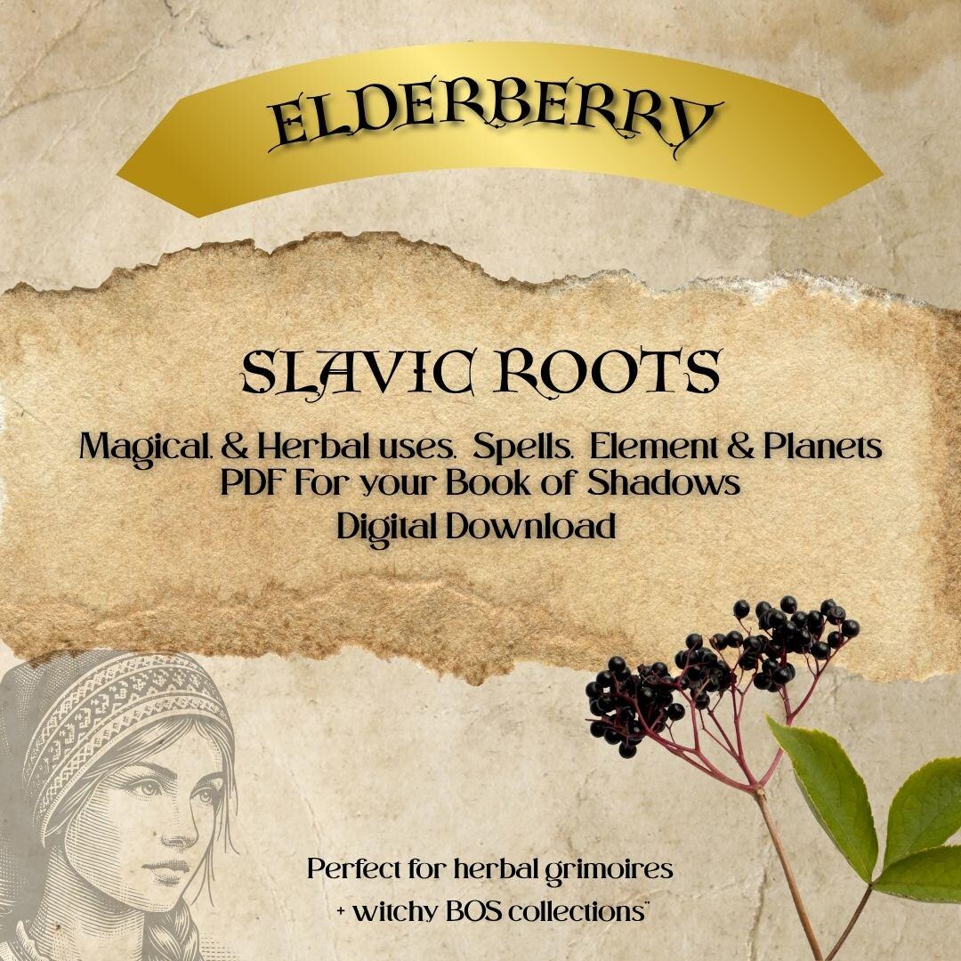 Slavic Roots Herb of the Day Spell Page Elderberry - Etsy