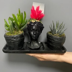 May include: Three black succulent planters, one shaped like a human bust, on a black tray. The succulents are green and have a variety of textures.