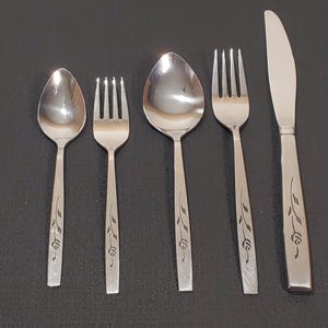 Vintage Oneida Capistrano 45 Piece Flatware Set, Oneidacraft Deluxe Stainless,Rose Pattern, 1970s Stainless Cutlery, Replacement Silverware