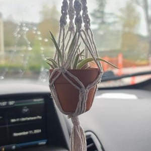 Op de afbeelding: Een kleine plant in een pot die aan de achteruitkijkspiegel van een auto hangt. De plant zit in een terracotta pot en wordt opgehangen door een witte macrame plantenhanger.