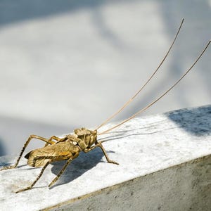 ヴィンテージ バッタの飾り - 銅製のイナゴの小物、クリエイティブな真鍮の彫刻、アンティークな動物の置物、ユニークな真鍮のバッタの装飾