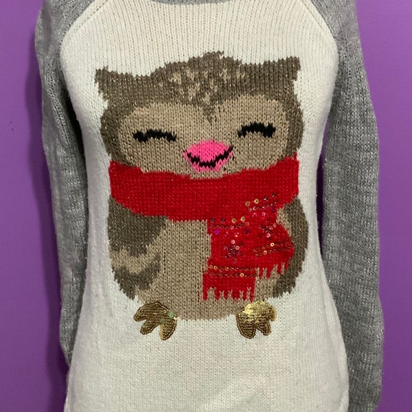 Silver Gray Cute Winter Owl Sweater