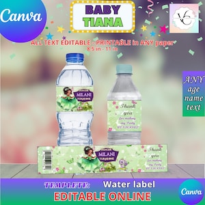 May include: Printable water bottle label template featuring a cartoon princess with a green dress and butterflies. The label says "Princess Milani Turns One" and "Thank you for making my party wonderful!" The template is 8.5 inches by 11 inches.