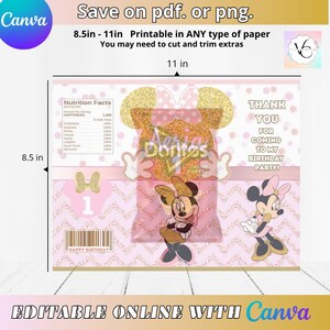 May include: Pink and gold Minnie Mouse-themed birthday party favor bag design. The bag is 8.5 x 11 inches and features Minnie Mouse illustrations, the text "Thank You for Coming to My Birthday Party!", and the words "Aeria Doritos".