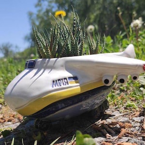 Peut inclure: Un pot en céramique blanche en forme d'avion avec des accents jaunes et bleus. Le pot a le mot "MPIR" écrit sur le côté. Le pot est rempli de succulentes vertes.