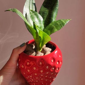 Schattige aardbeivormige bloempot voor in je groen